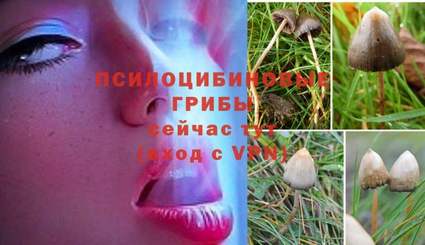 гашишное масло Алзамай