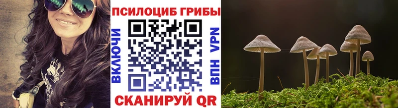 Галлюциногенные грибы прущие грибы  как найти   Боготол 